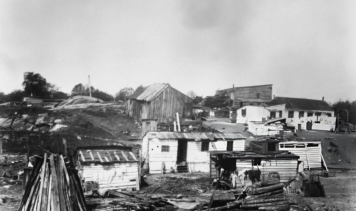 Shantytown Of Wood-Built Shacks At 102Nd Street And Fifth Avenue, East Harlem, 1894.
