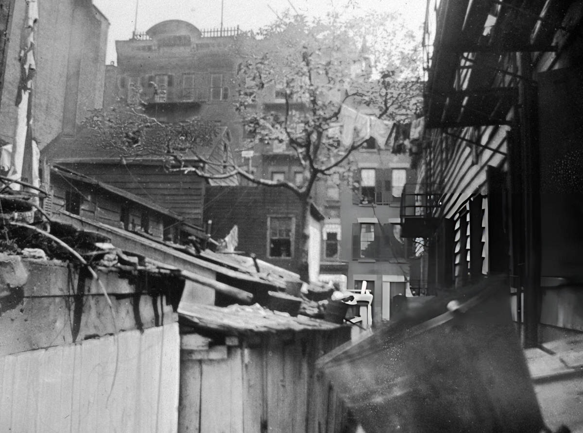 Mulberry Tree Behind A Federal Building At 41 Mulberry Street, Little Italy, 1890.