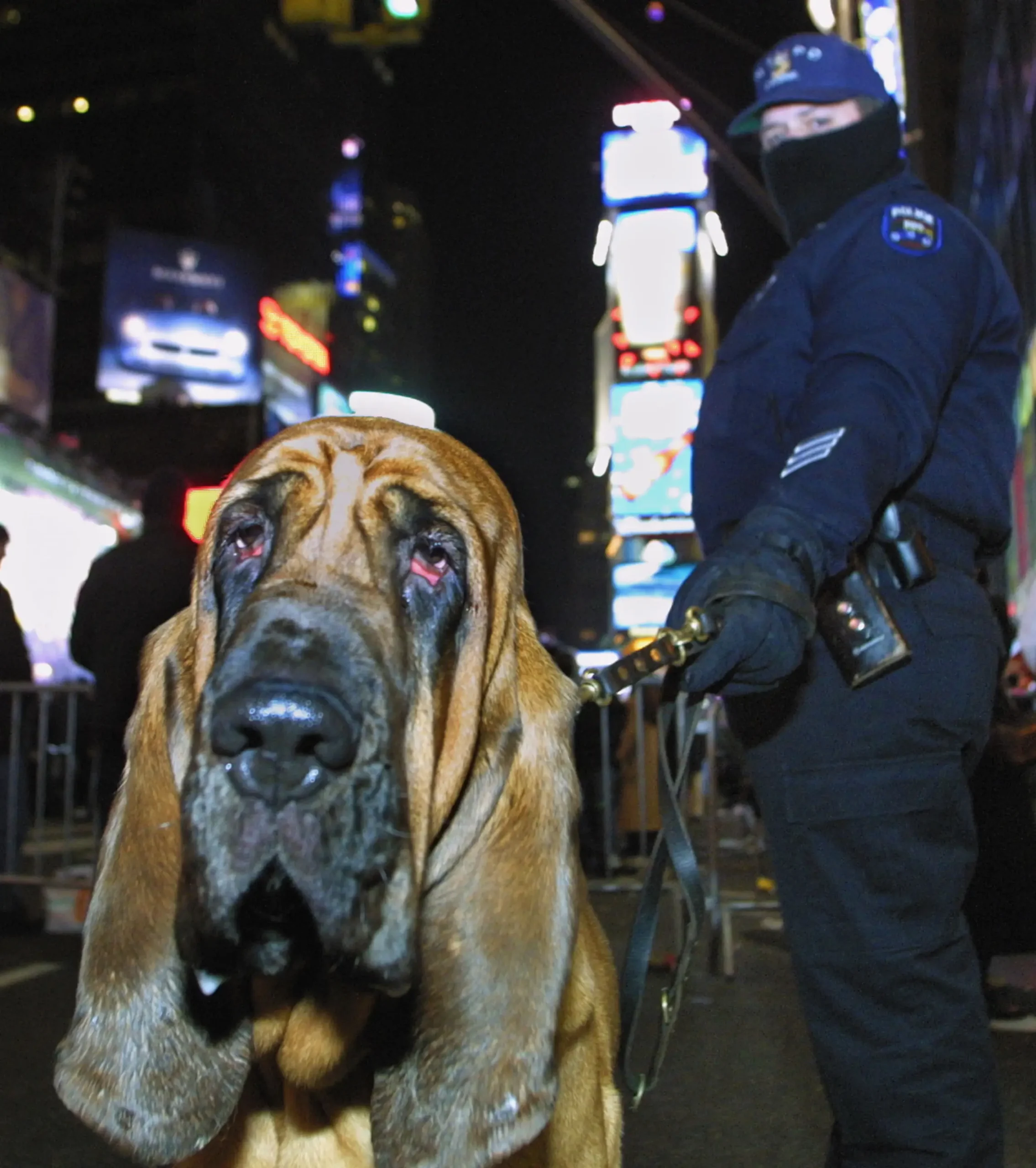 Following The September 11 Attacks In 2001, The Police Department Tightened Security In Times Square Even More. Bomb-Sniffing Dogs And 7,000 Officers With Handheld Metal Detectors Were On Duty.