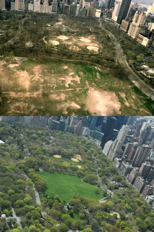 Central Park. 1980 Vs 2015