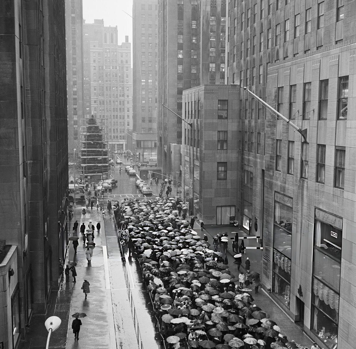 Crowds With Umbrellas Waiting For The Premiere Of A Boy Named Charlie Brown At Radio City Music Hall, New York, 1969.