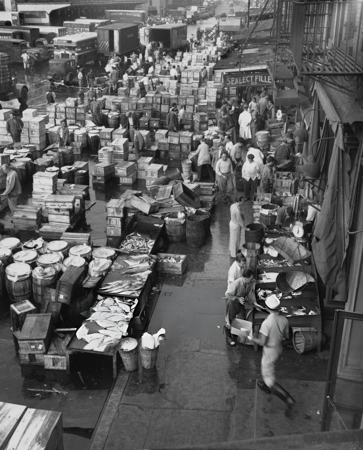 Workers At Shipping Pier No. 16 On South Street Near The Fulton Fish Market, New York, 1953.