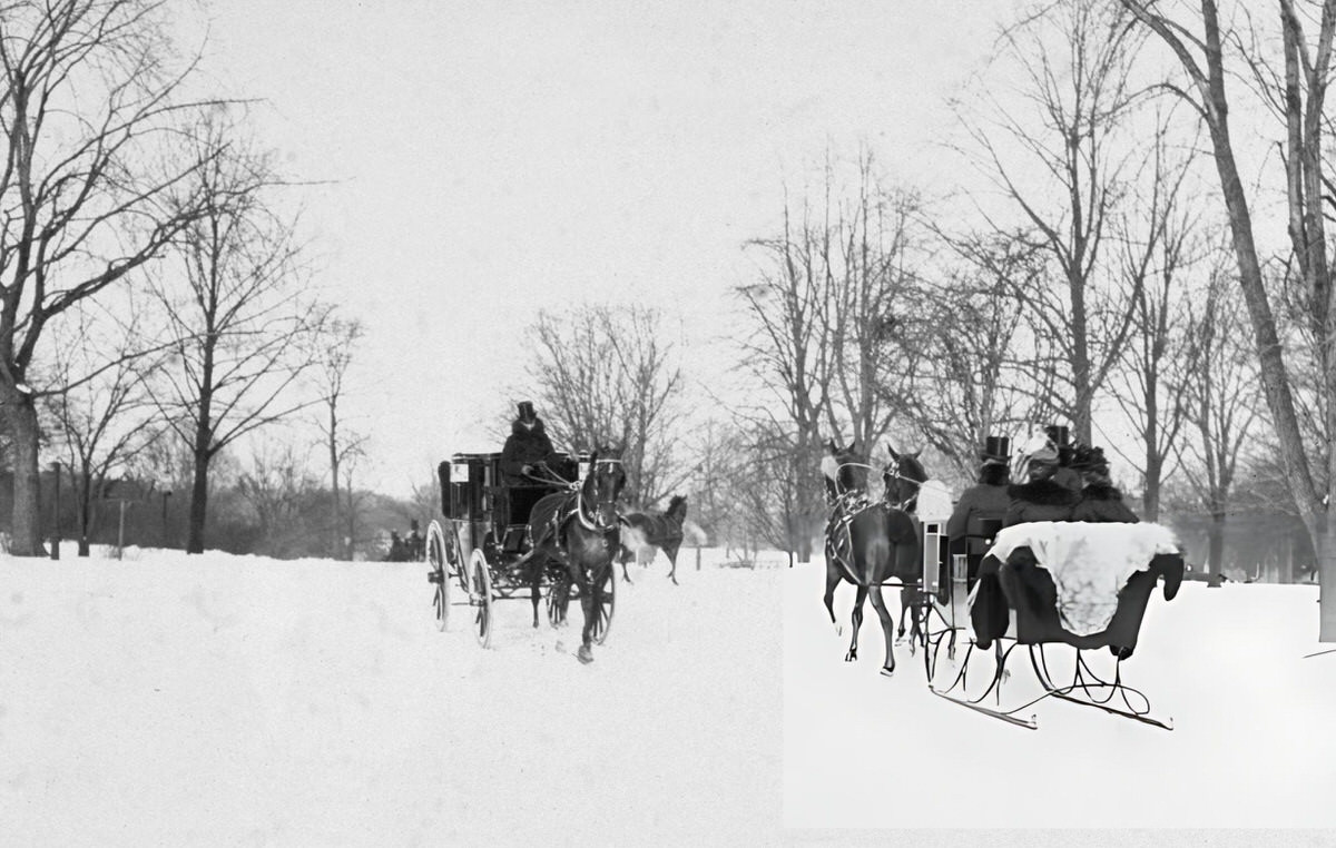 Horse-Drawn Carriage Passing A Sleigh In Central Park, New York, 1897.