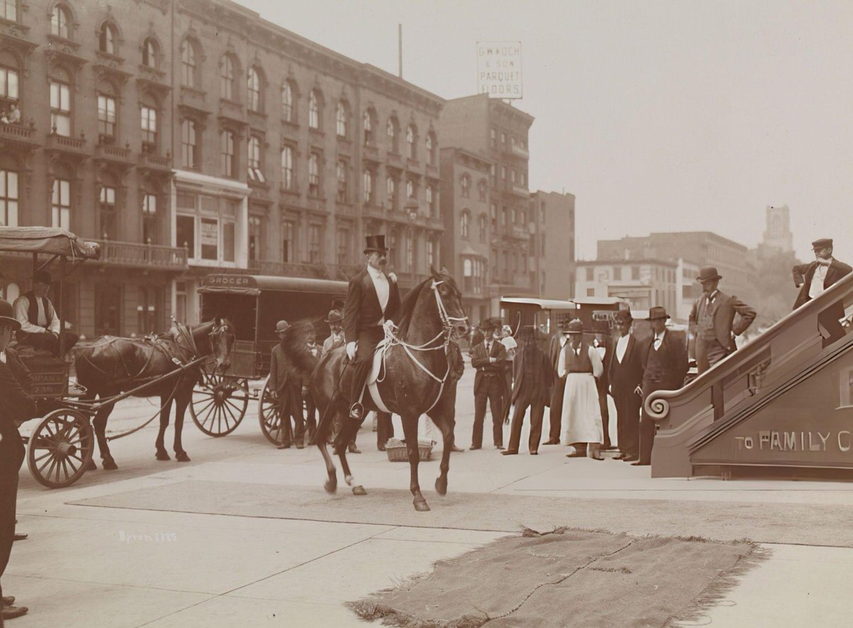 Trick Horse Of Emile At Koster And Bials On 34Th Street, New York, 1890S.