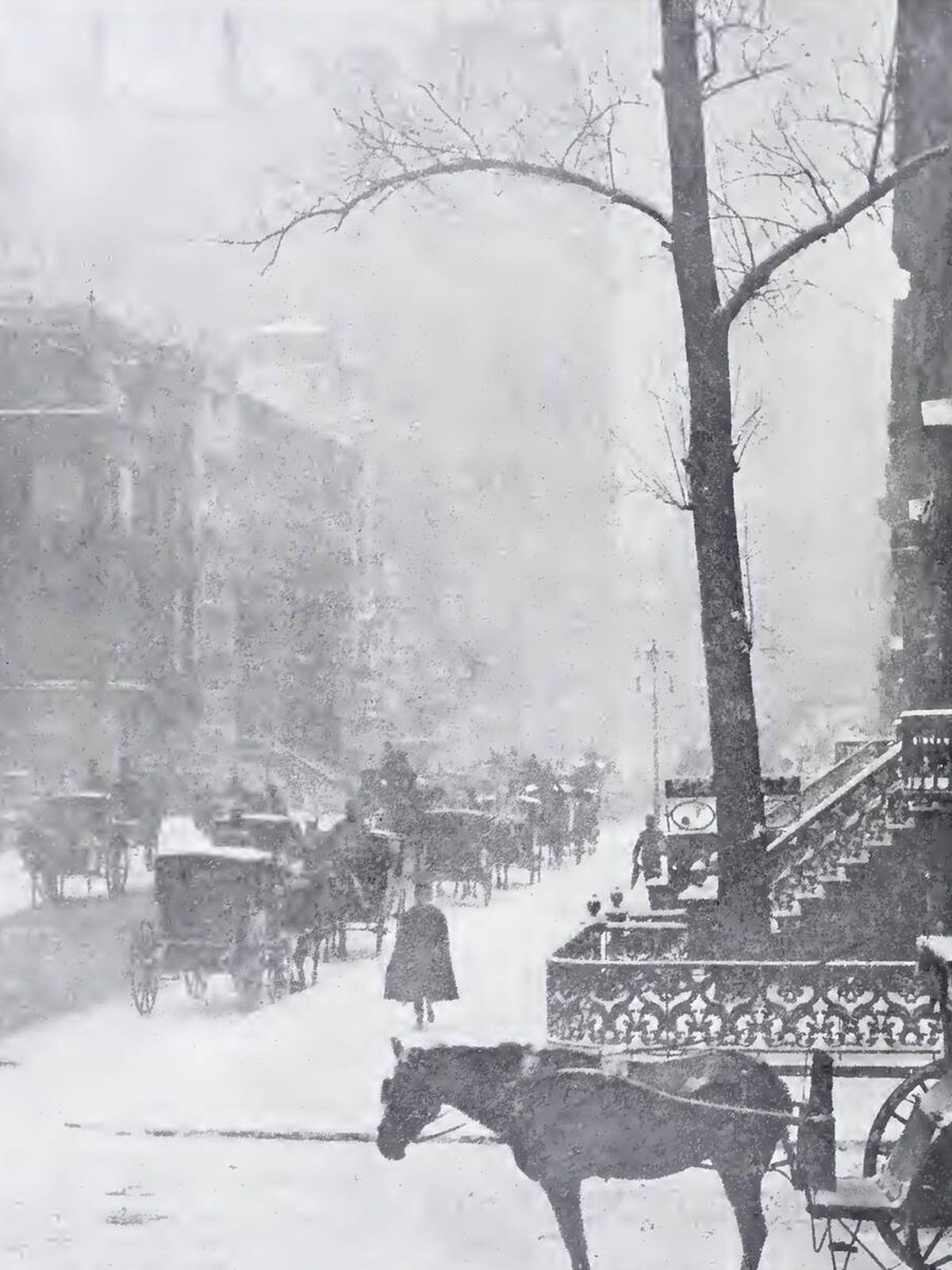 Fifth Avenue In Winter, 1892.
