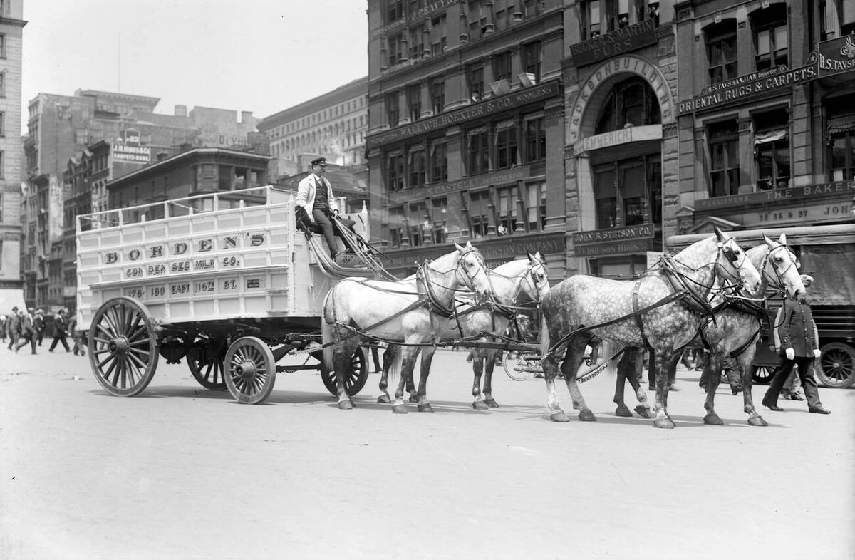 Horse And Delivery Wagon, New York, 1908.