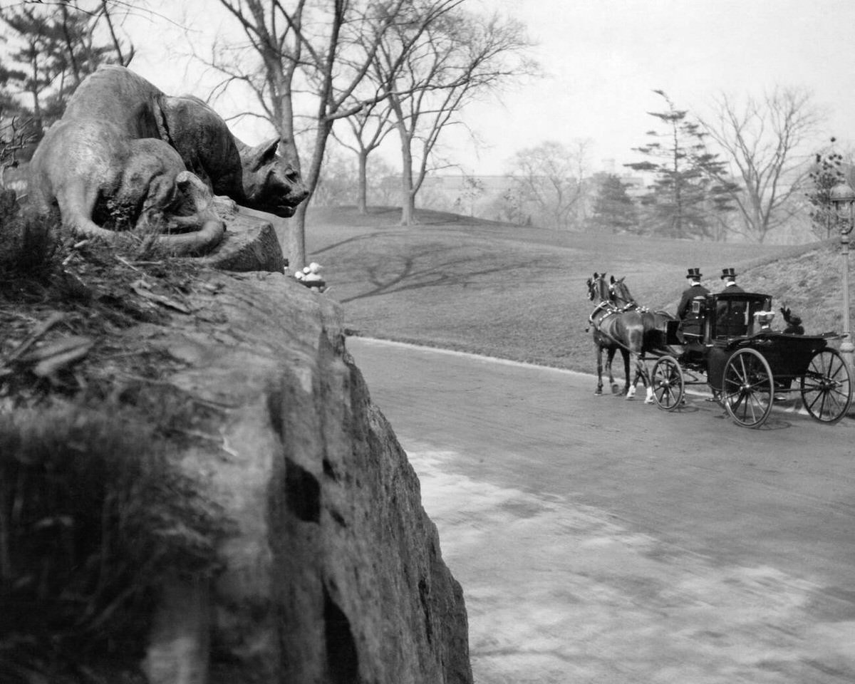 Horse-Drawn Carriage Passing The Still Hunt Panther Sculpture On East Drive In Central Park, New York, 1883.