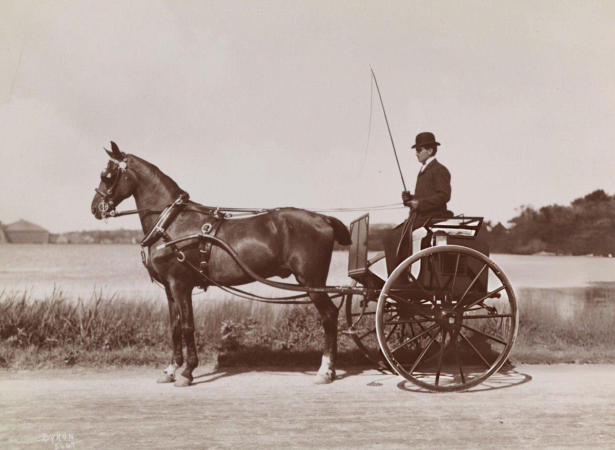 James Stillman'S Prize Driving Team, Newport, Rhode Island, 1898.