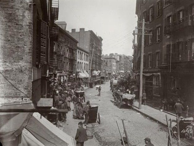 Mulberry Bend, 1890