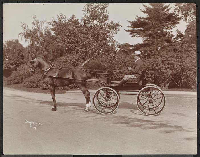 R.h. Halstead And Friends Riding In Central Park, 1900