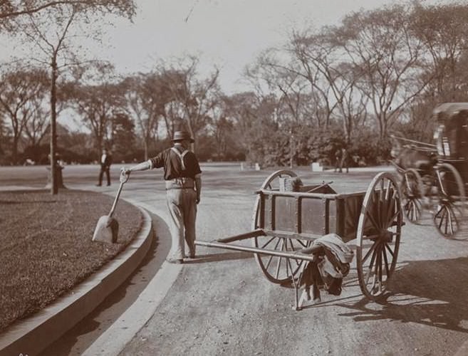 Central Park, 1906