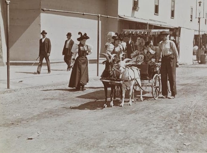 Children In A Goat-Pulled Carriage At Coney Island, 1896