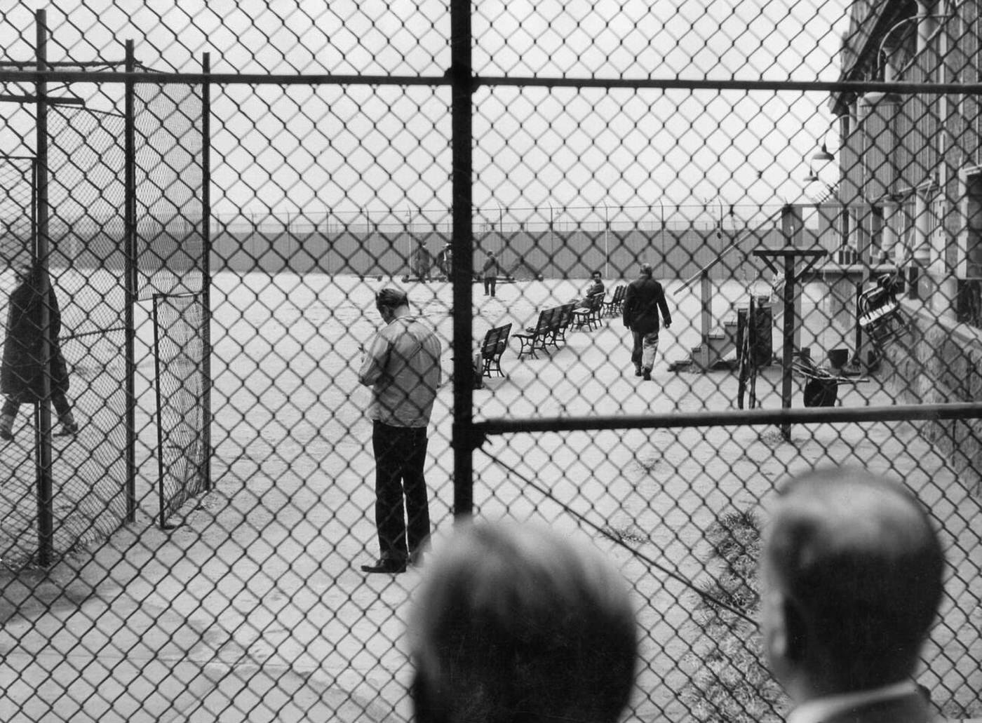 Immigrants Passing Through The Inspection Area At Ellis Island, 1954